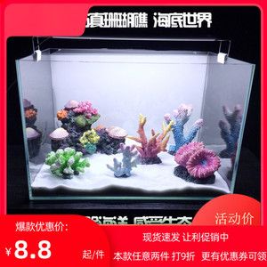 淡水鱼缸与海水鱼缸的区别：海边捡的珊瑚石能否放入鱼缸