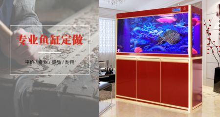 鸿颜水族提供定制鱼缸的服务可以根据空间使用规划建议：如何打造一个与众不同的鱼缸 鱼缸百科 第3张