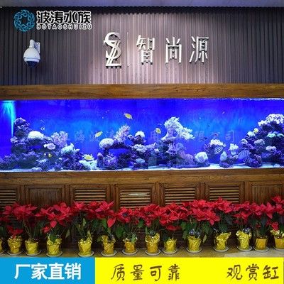 定制亚克力鱼缸的优缺点：亚克力鱼缸优缺点 鱼缸百科 第3张