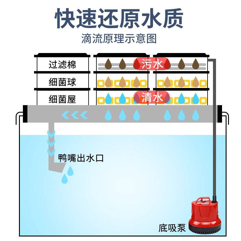 底滤鱼缸出水口最佳位置图，养鱼风水学在中国传统文化中：底滤鱼缸出水口最佳位置图怎么设计