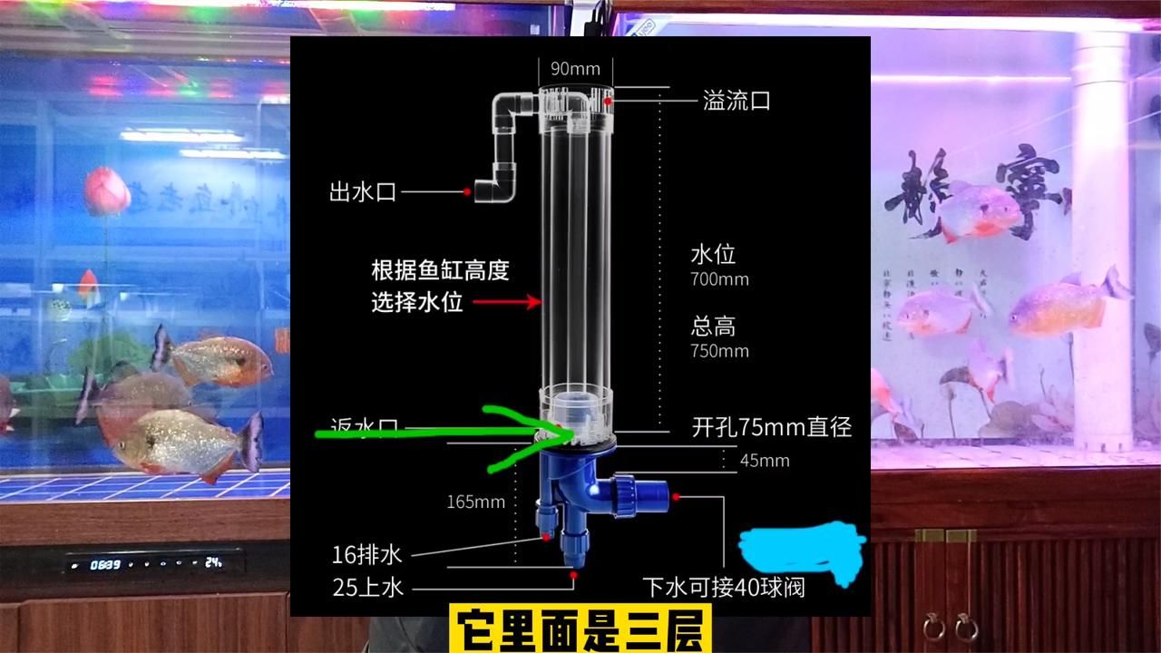 底滤鱼缸出水口最佳位置图，养鱼风水学在中国传统文化中：底滤鱼缸出水口最佳位置图怎么设计 鱼缸百科 第2张