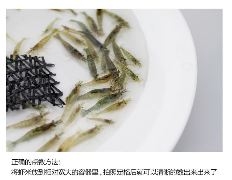 龙鱼喂虾米的注意事项：喂食龙鱼虾米需要注意什么：关于龙鱼喂虾米的一些注意事项