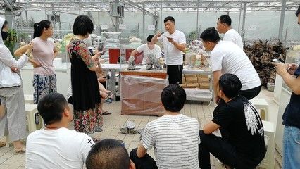 鱼缸造景培训机构提供不同水草造景的生长习性和繁殖技巧：广州水草造景培训机构 鱼缸百科 第1张