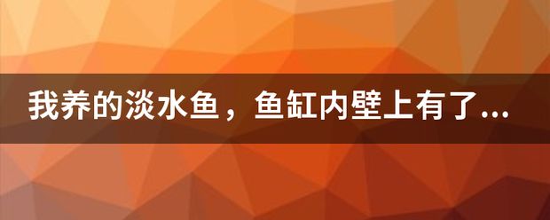 鱼缸除青苔的几种方法：淡水鱼缸长青苔怎么处理淡水鱼缸长青苔的处理技巧