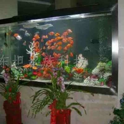 广州有多家公司提供鱼缸定制服务获取最新报价建议：广州大型鱼缸定做价格
