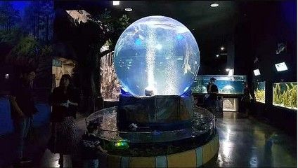 水族箱品牌排名：全球十大水族品牌排名