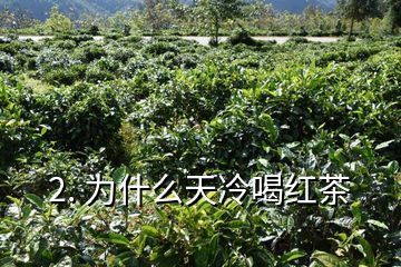 红茶茶叶可以倒入鱼缸里吗：普洱茶养鱼好吗红茶茶叶可以倒在鱼缸里吗 鱼缸百科 第3张