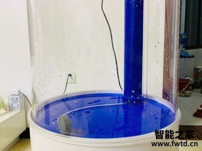 底滤鱼缸哪个牌子好：2018年度鱼缸底滤鱼缸品牌底滤鱼缸品牌推荐