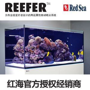 红海鱼缸纯进口吗：红海鱼缸市场现状红海鱼缸品牌红海鱼缸市场现状 鱼缸百科 第3张