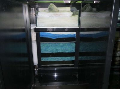 底滤鱼缸的过滤棉清洗频率取决于多种因素，养鱼者需了解：底滤鱼缸的过滤棉清洗频率