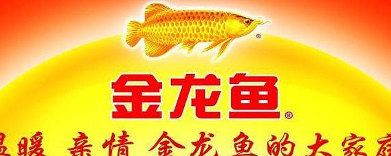 金龙鱼，即益海嘉里金龙鱼粮油食品股份有限公司郭孔丰：金龙鱼发展历程