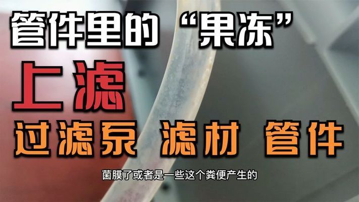 鱼缸过滤系统的维护：鱼缸增氧技术探索鱼缸增氧技术探究鱼缸增氧技术的各种方法 鱼缸百科