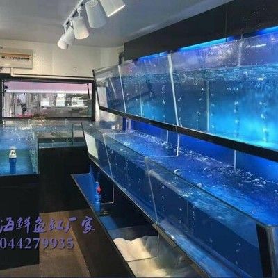 海宁硖石植艺鱼缸店：海宁市硖石植艺鱼缸店 鱼缸百科 第3张