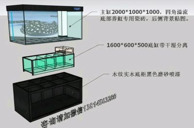 鱼缸过滤系统的选择：鱼缸溢流系统的选择 鱼缸百科 第2张