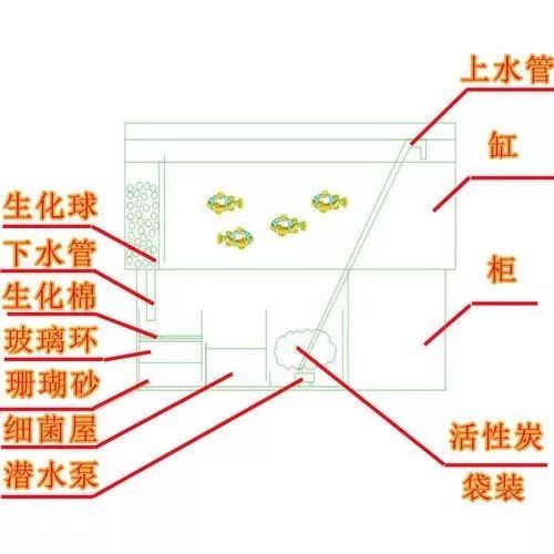 鱼缸滤材摆放顺序：底滤鱼缸滤材摆放顺序对于养鱼爱好者来说是一项必不可少的任务