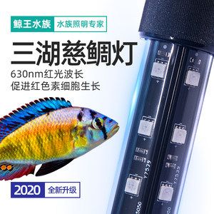 鱼缸灯led鱼缸灯市场趋势led鱼缸灯市场趋势：led鱼缸灯led鱼缸灯市场趋势led鱼缸灯技术