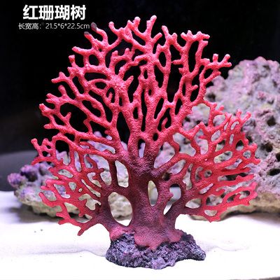 红珊瑚鱼缸造景指南海洋生物摄影指南海洋生物摄影指南：海洋生物摄影技巧 鱼缸百科 第2张