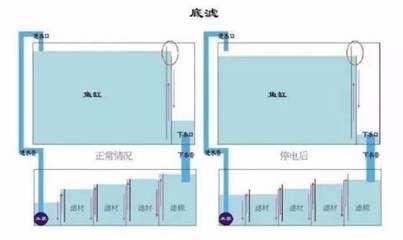 底滤鱼缸过滤系统摆放生化棉和白棉的摆放顺序谁懂：底滤鱼缸生化棉和白棉的作用 鱼缸百科 第4张