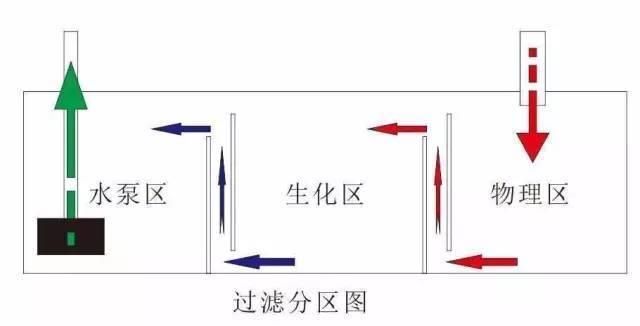 鱼缸水质管理的重要性：底滤鱼缸水质管理的重要性 鱼缸百科 第2张