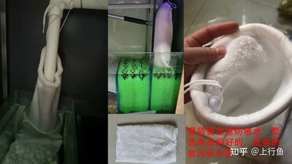 鱼缸噪音控制技巧：底滤鱼缸下水管发出咕噜咕噜响的响声是由于以下几个原因 鱼缸百科 第4张