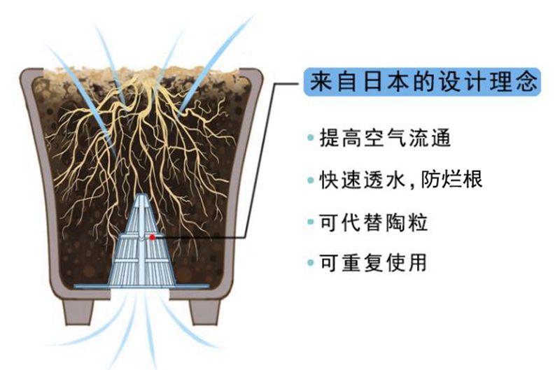 花盆改鱼缸的艺术之旅：diy鱼缸的艺术之旅 鱼缸百科 第1张