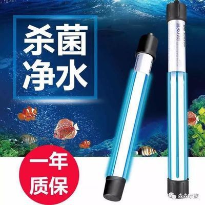 鱼缸换水时是否需要使用杀菌灯：鱼缸换水时是否使用杀菌灯