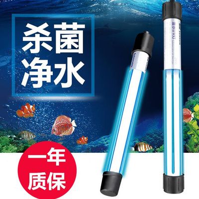 鱼缸换水时是否需要使用杀菌灯：鱼缸换水时是否使用杀菌灯