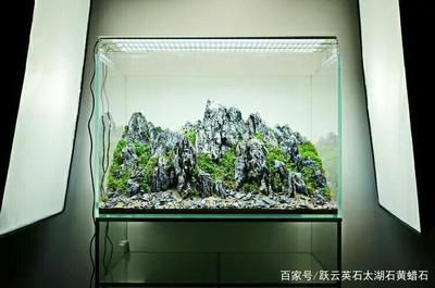 简单易打理的鱼缸造景方式：简单易打理的鱼缸造景 鱼缸百科 第1张