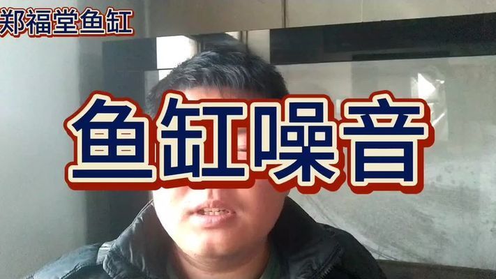 鱼缸静音技术的演变：底滤鱼缸排水管消音方法 鱼缸百科 第2张