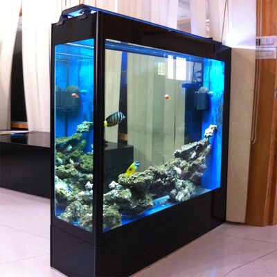 海之峰水族用品有限公司怎么样：济南海之峰水族用品有限公司水族用品有限公司水族用品有限公司 鱼缸百科 第1张