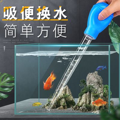 鱼缸换水的几种方法：如何快速的给鱼缸换水 鱼缸百科 第4张