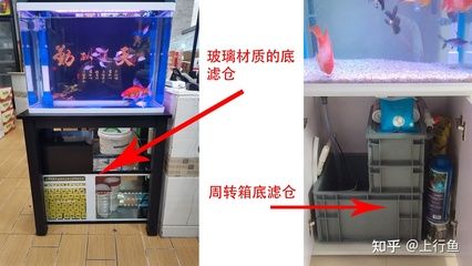 清洗底滤鱼缸的方法：如何清洗底滤鱼缸