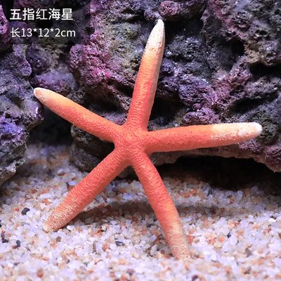 红海鱼缸造景需要考虑到红海特有的水质和生物环境：红海鱼缸如何造景 鱼缸百科 第1张