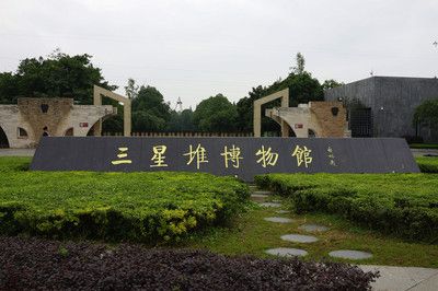 顺水族精品鱼缸店：广汉市水族爱好者的聚集地广汉市水族爱好者的聚集地 鱼缸百科 第1张