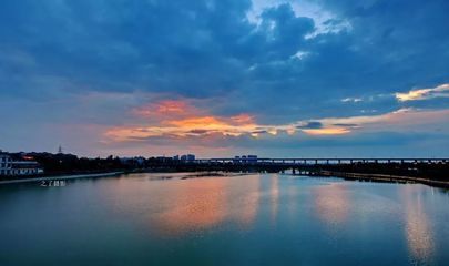 顺水族精品鱼缸店：广汉市水族爱好者的聚集地广汉市水族爱好者的聚集地 鱼缸百科 第3张