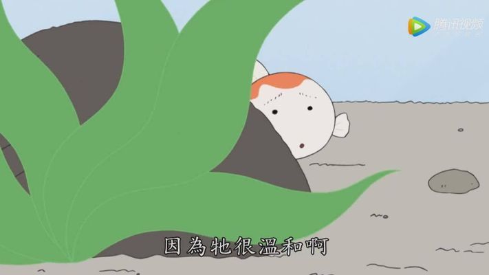 红色的鱼缸鬼片：《红色的鱼缸鬼片》 鱼缸百科 第1张