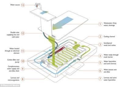 户外生态鱼缸的建立：户外生态鱼缸如何建立