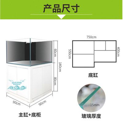 珊瑚养殖的入门指南珊瑚是海缸中不可或缺的一部分：如何打造一个稳定的海水生态系统 鱼缸百科 第1张