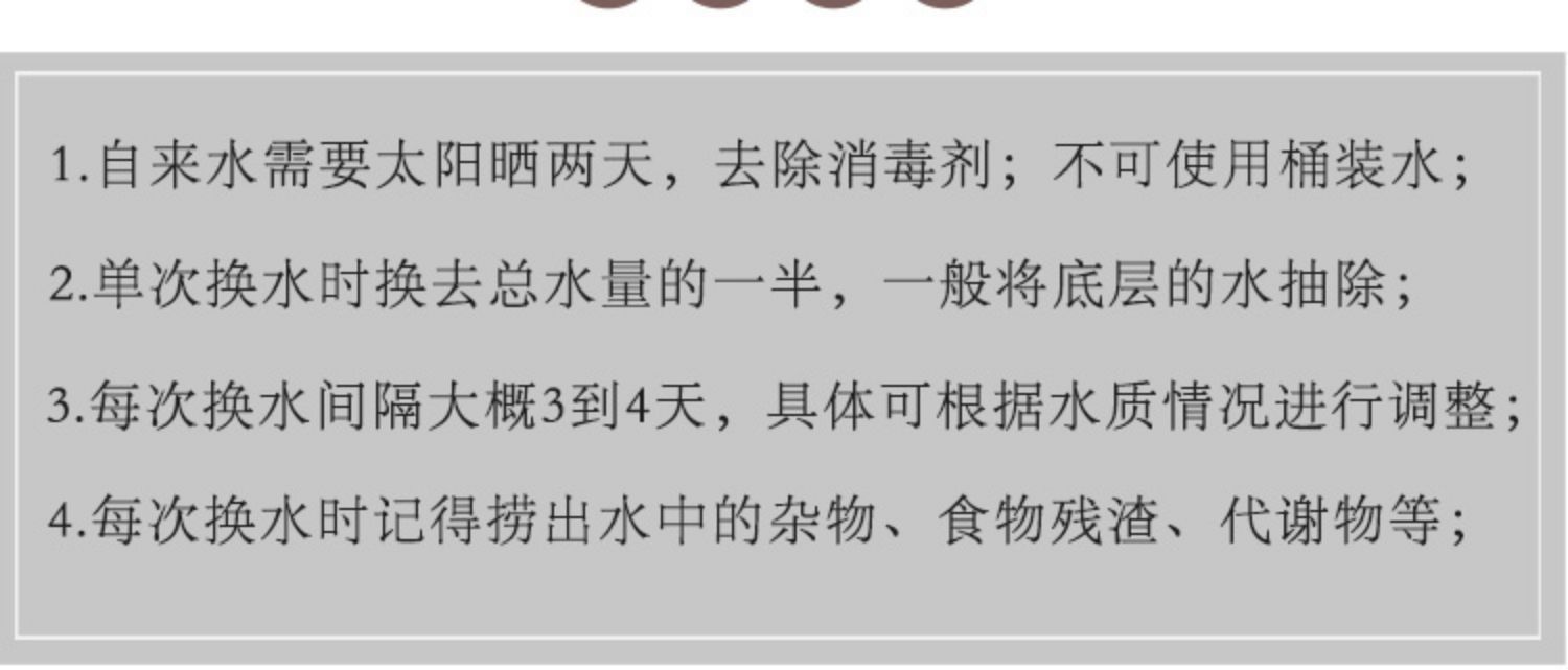 鱼缸清洗和消毒技巧：新买的小鱼缸如何清洗和消毒