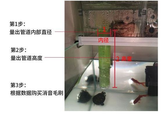 鱼缸噪音控制的科学原理：红海鱼缸下水声音大的原因是由于多种原因引起的解决方法 鱼缸百科 第2张