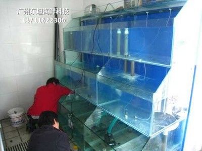 水族器材市场竞争格局：2024年海鲜鱼缸制作厂家排名全球水族器材市场排名前十名 鱼缸百科 第4张