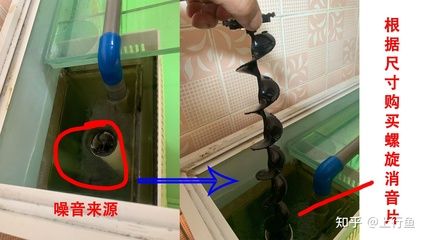 底滤鱼缸下水堵塞怎么办：养鱼新手入门指南：底滤鱼缸下水堵塞问题解决方法 鱼缸百科 第4张