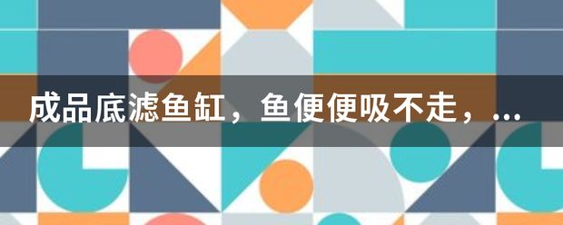 底滤鱼缸过滤系统是保持过滤效果的原理是将水通过过滤介：如何提高底滤鱼缸的过滤效果 鱼缸百科 第3张