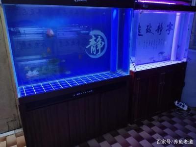 鱼缸品牌大全高端鱼缸品牌大全高端鱼缸品牌排行榜：高档鱼缸品牌大全 鱼缸百科 第4张