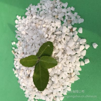 郑州巩义市水族用品市场分析：巩义市宠物文化探秘巩义市宠物文化探秘巩义市宠物文化