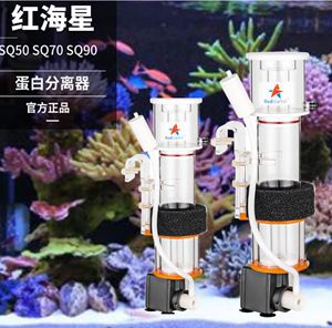 鱼缸蛋白分离器的使用：diy海水缸蛋白分离器选择蛋白分离器的使用方法