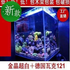 海水鱼缸的养护技巧，你知道吗？：海水鱼缸养护技巧 鱼缸百科 第4张