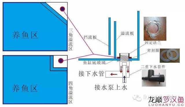 鱼缸三重溢流和直角溢流对比分析：底滤鱼缸三重溢流和直角溢流哪个好