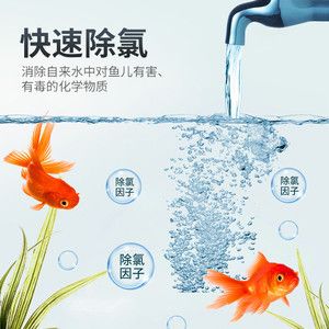 水族箱生态系统的平衡维护水族箱的平衡维护水质稳定：如何正确养护水族箱 鱼缸百科 第1张