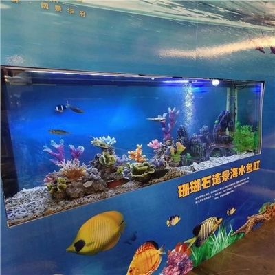 海水鱼缸的价格范围和养护技巧：海水鱼缸价格可以根据不同尺寸、材质和配置有很大差异 鱼缸百科 第4张